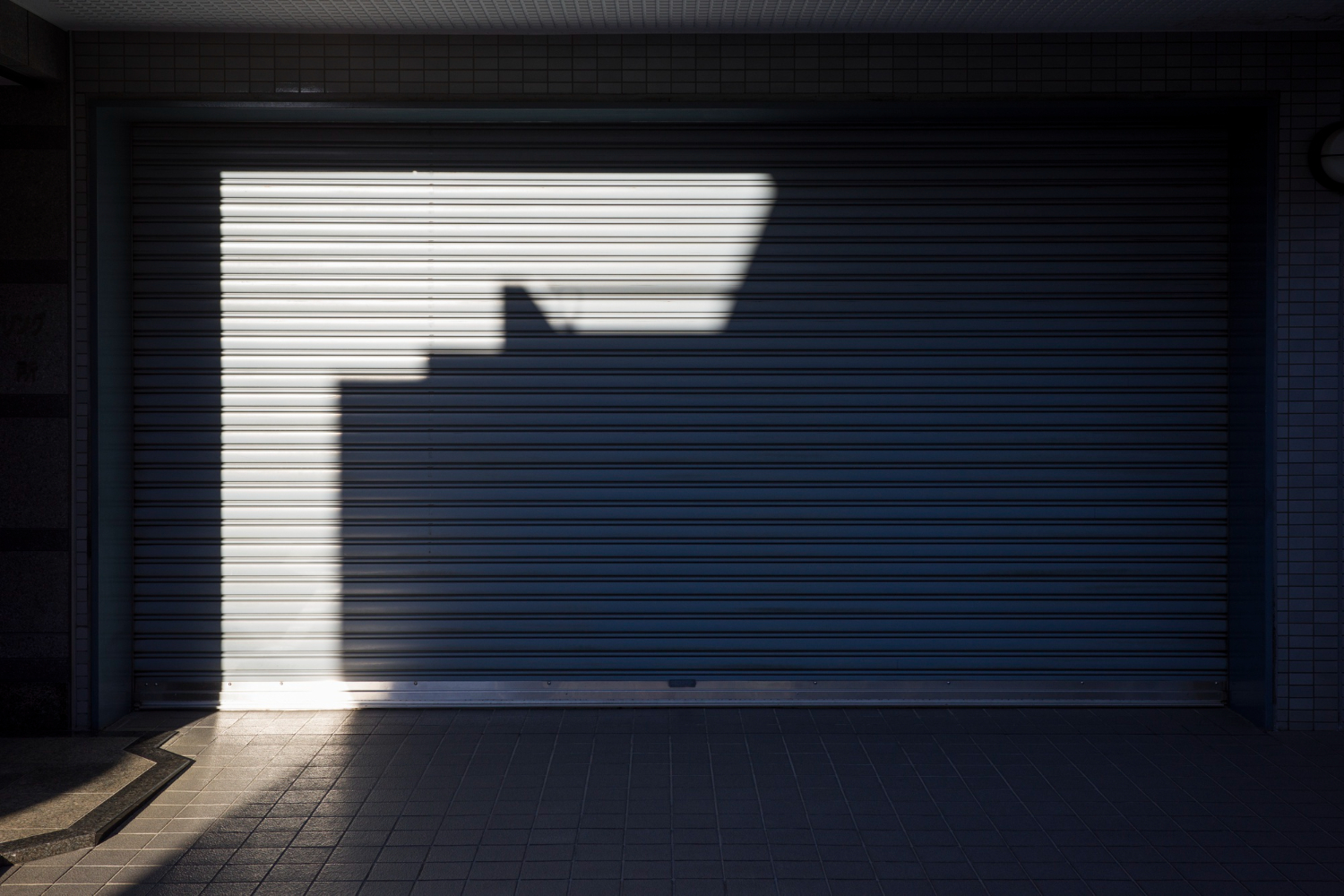 Garage Door